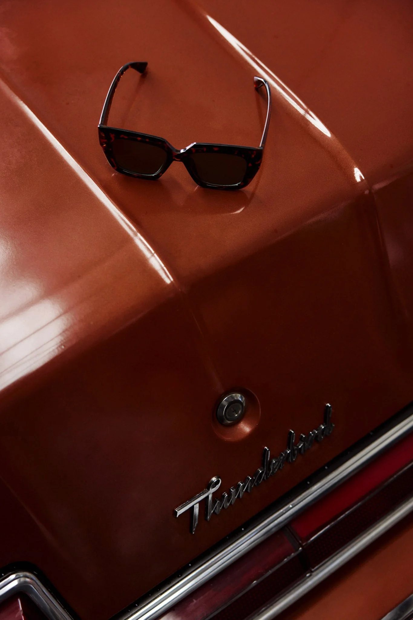 Cate Oversized Sunglasses Tortoiseshell Brown - Image 3