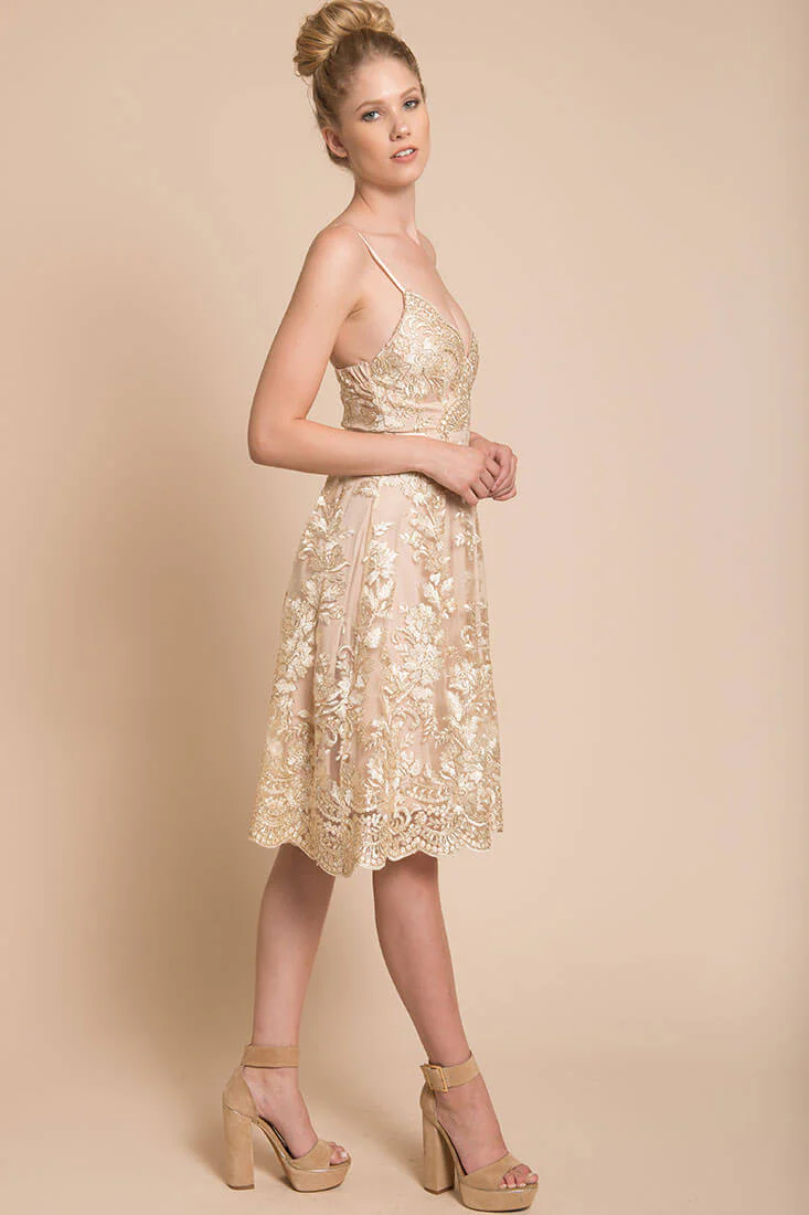 Delilah Lace Dress Beige - Image 4