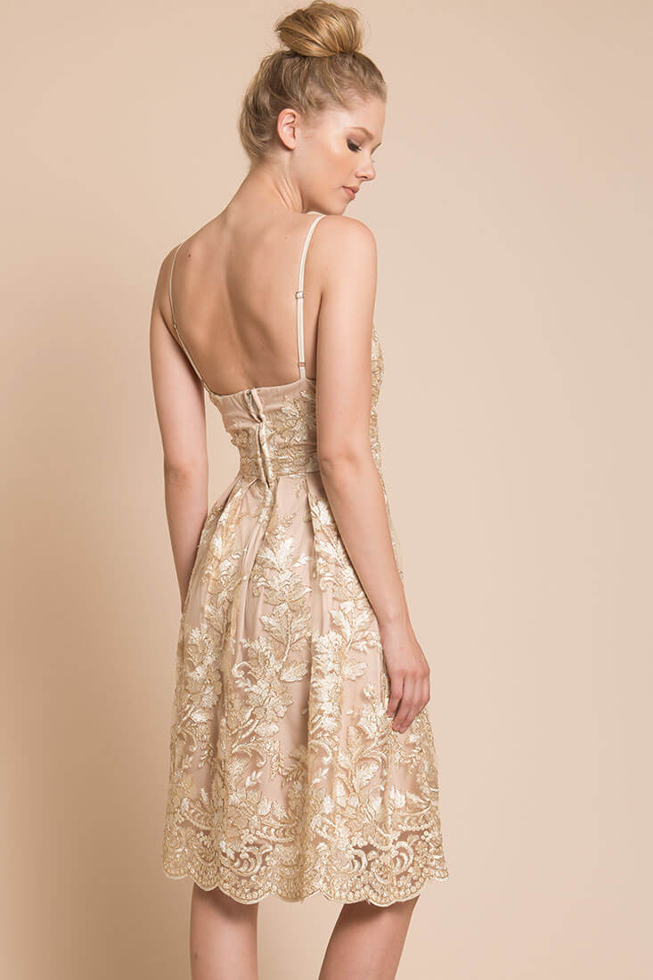 Delilah Lace Dress Beige - Image 5