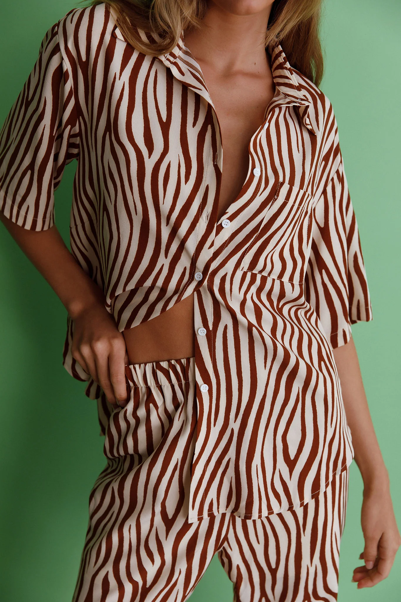 Just A Hunch Button Shirt Zebra Brown - Image 5
